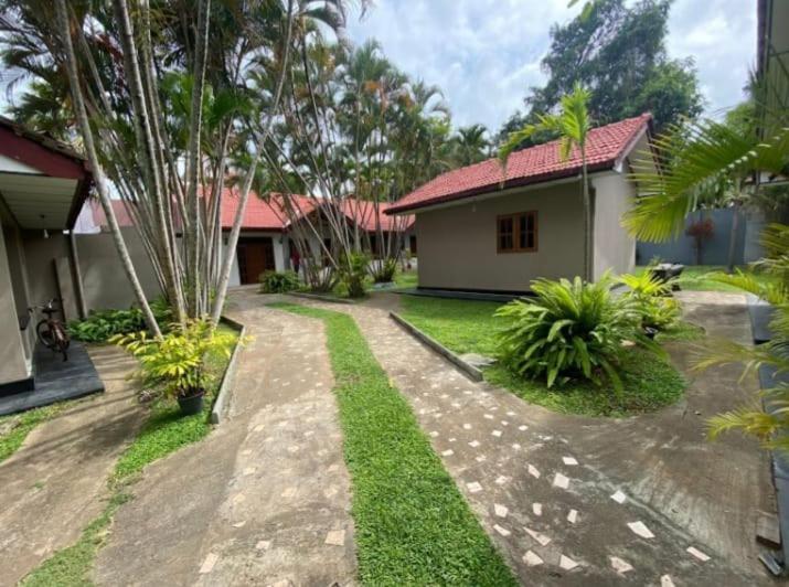 Blue Bell Hotel Negombo Exteriér fotografie