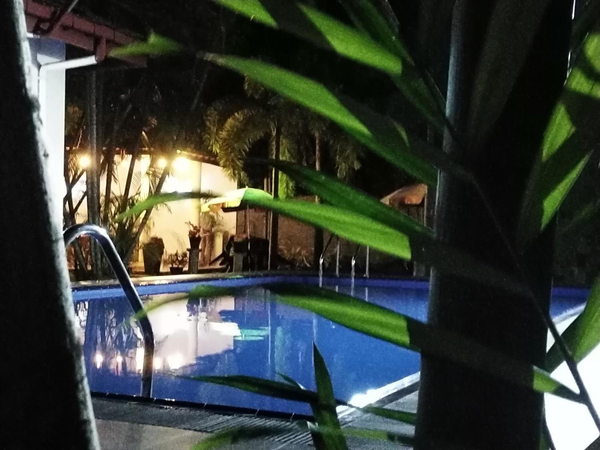 Blue Bell Hotel Negombo Exteriér fotografie