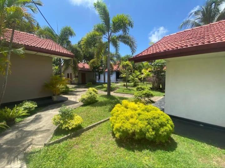Blue Bell Hotel Negombo Exteriér fotografie